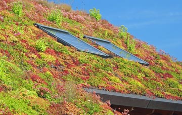 Hengrave living roof systems